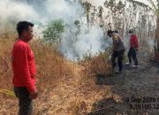 Petugas Gabungan Tangani Karhutla yang Membakar 10 Hektare Lahan Betaua