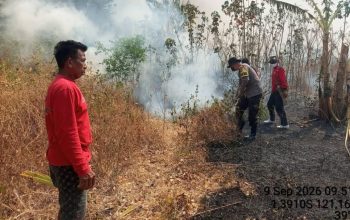 Petugas Gabungan Tangani Karhutla yang Membakar 10 Hektare Lahan Betaua