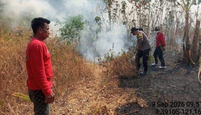 Petugas Gabungan Tangani Karhutla yang Membakar 10 Hektare Lahan Betaua