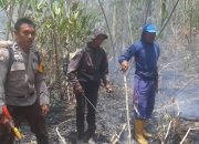 Kapolsek Ampana Tete Beberkan Penanganan Karhutla Pakanangi