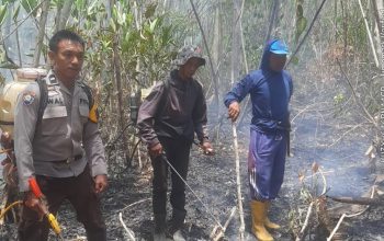 Kapolsek Ampana Tete Beberkan Penanganan Karhutla Pakanangi