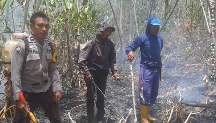 Kapolsek Ampana Tete Beberkan Penanganan Karhutla Pakanangi