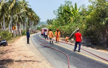 Karhutla di Malotong, Polsek Ampana Kota dan Damkar Bergerak Padamkan Api