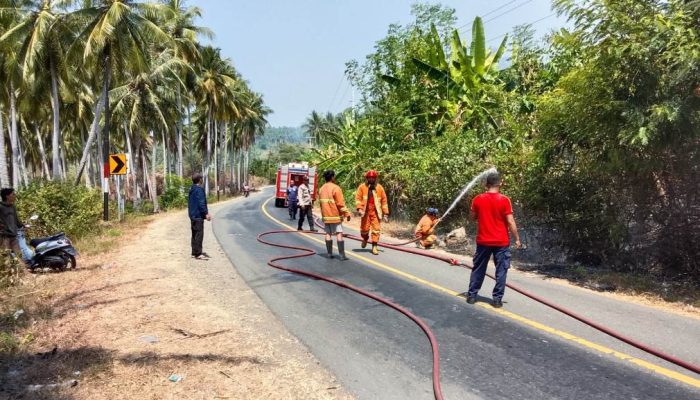 Karhutla di Malotong, Polsek Ampana Kota dan Damkar Bergerak Padamkan Api