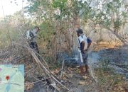 Bhabinkamtibmas Bersama Warga Padamkan Kebakaran Lahan di Desa Sabo