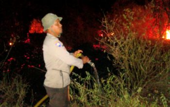 Karhutla di Pinggir Sungai Bongka Padam, Polsek Ulubongka Respons Cepat