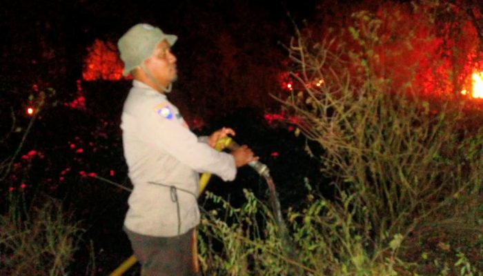 Karhutla di Pinggir Sungai Bongka Padam, Polsek Ulubongka Respons Cepat