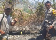 Polsek Ampana Tete Bersama Warga Padamkan Kebakaran Lahan di Balingara