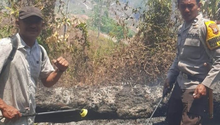 Polsek Ampana Tete Bersama Warga Padamkan Kebakaran Lahan di Balingara