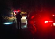 Karhutla di Malotong, Polisi dan Damkar Padamkan Api hingga Malam
