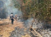 Karhutla di Padauloyo Meluas ke Perbukitan, Kapolsek Ampana Tete Turun Padamkan Api