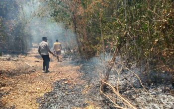 Karhutla di Padauloyo Meluas ke Perbukitan, Kapolsek Ampana Tete Turun Padamkan Api