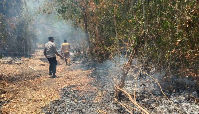Karhutla di Padauloyo Meluas ke Perbukitan, Kapolsek Ampana Tete Turun Padamkan Api