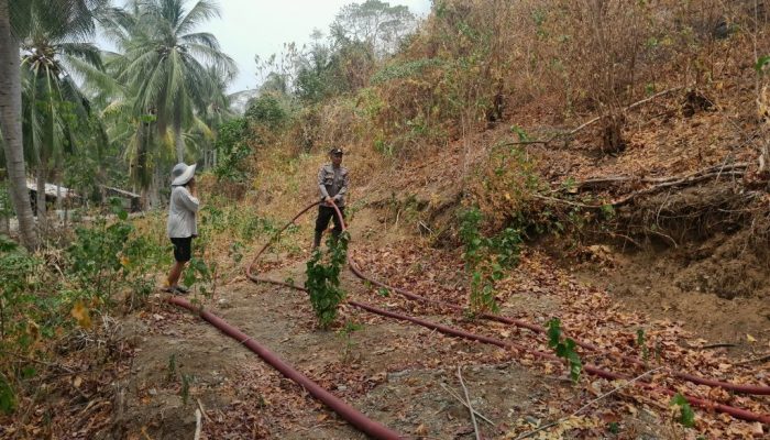 Kebakaran Lahan Dekat Tambak Udang Ulubongka, Kapolsek: Akses Perbukitan Sangat Terjal