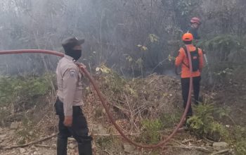 Karhutla 100 Hektare di Tojo Una-Una, Kapolsek Sebut Medan Pemadaman Sulit