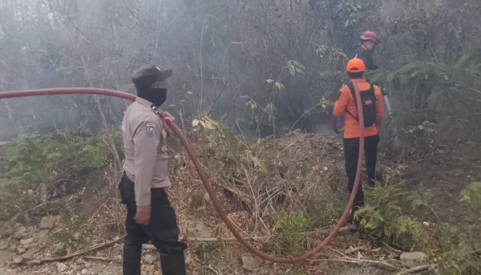 Karhutla 100 Hektare di Tojo Una-Una, Kapolsek Sebut Medan Pemadaman Sulit