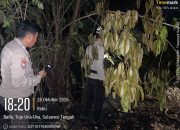 Aksi Cepat Satgas Preventif Ops Aman Tinombala Padamkan Karhutla di Ampana Kota